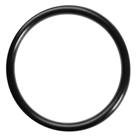 Guarnizione O-Ring per Macchine da Caffè a Cialde ESE44 (Didiesse, Faber, La Piccola, Grimac, Spinel, Union Group)