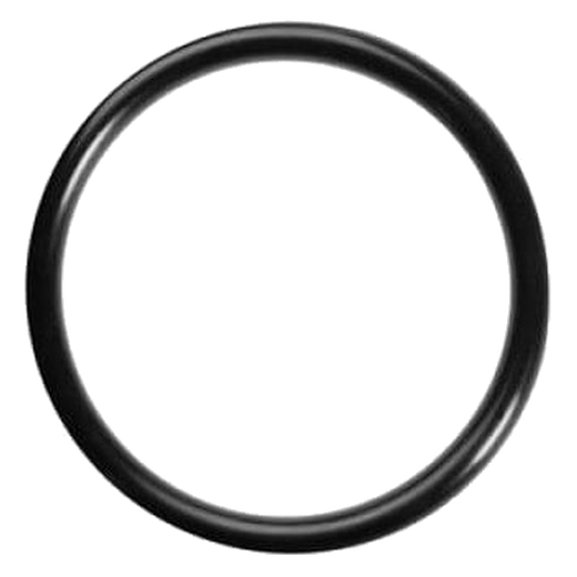 Guarnizione O-Ring per Macchine da Caffè a Cialde ESE44 (Didiesse, Faber, La Piccola, Grimac, Spinel, Union Group)